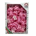 COCCARDE MAT COLOR MM.14 PZ.100 ROSA 4992/16