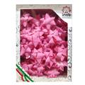 COCCARDE MAT COLOR MM.19 PZ.50 ROSA 4990/50-16