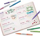 PAPER MATE PENNE FLAIR COL ASSORTITI CONF DA 16