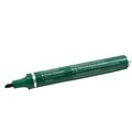PENNARELLI PENTEL N60 VERDI