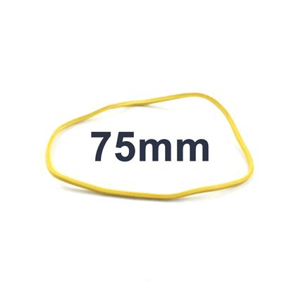 ELASTICI BUSTA 1 KG.D.75 61/6