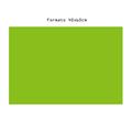 FOGLI FOAM EVA 40X60 VERDE CHIARO VA4060C39