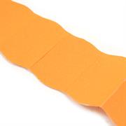 NASTRI PREZ.26X16 COLORATI