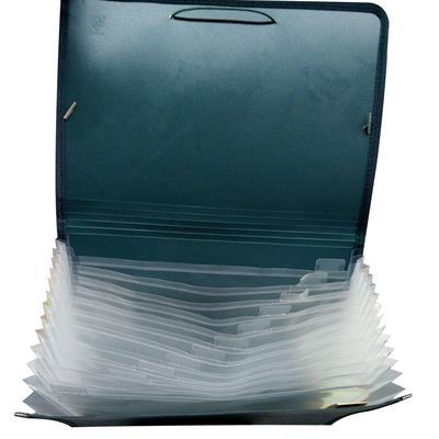 EXPANDING FILE 12 SCOMPARTI KF4302L
