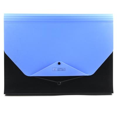 EXPANDING FILE 12 SCOMPARTI F8213