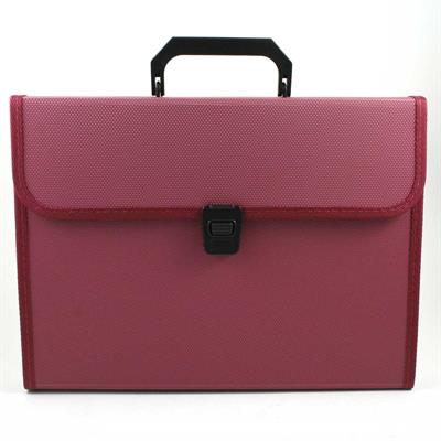 EXPANDING FILE 12 SCOMPARTI C/MANICO KF412TL