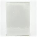 POUCHES 19X13.5 PZ.100