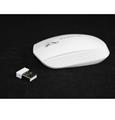 MOUSE OTTICO WIRELESSS MAXTECH  M-Z006 BIANCO