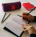 AGENDA BRICK C/COVER IN SILICONE PSIAGEND000ASS00