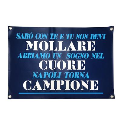BANNER PVC 70X100 NON MOLLARE 4 OCCHIELLI