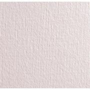 FOGLI FAB. L.R.GR.220 70X100 FF.10 AVORIO