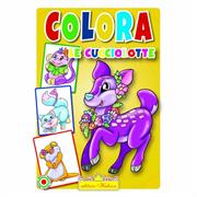 LIBRI COLORA LE CUCCIOLOTTE 0306