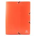 PORTAPROGETTI CON ELASTICO PVC DORSO 2,5