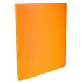 RACCOGLITORI 22X30 4 ANELLI D.1,5 ASS