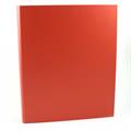 RACCOGLITORI 4 ANELLI 32X26 D.30 ARANCIO