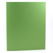 RACCOGLITORI 4 ANELLI 32X26 D.30 VERDE CHIARO