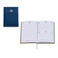 AGENDA GIORNALIERA 2026 BALACRON 15X21 2026 0178S60 BLU