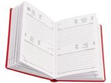 AGENDA TASCABILE BIGIORNALIERA SINTETICA 9271XMT08 ROSSO