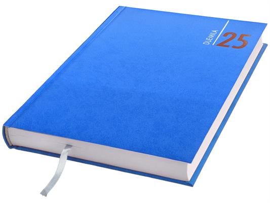 AGENDA GIORNALIERA 14,3X20,5 9101XMT11 AZZURRO