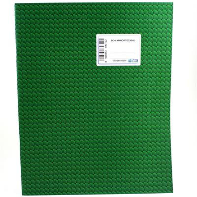 REGISTRO BENI AMMORTIZABILI 31X24,5 FF.46 136800000