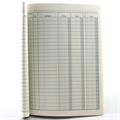 REGISTRO DARE/AVERE/SALDO 96 PAGINE 13331000