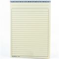 SCHEDE RIGATE 21X14,8 5554000