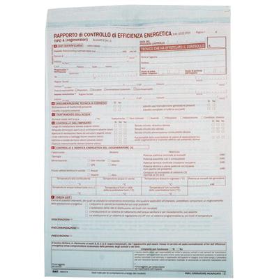 RAPPORTO DI CONTROLLO EFFIC.ENERGETICA TIPO 4 ALLEG.V