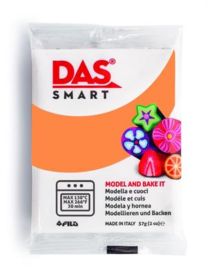 DAS SMART SALMONE