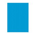 FOGLI FAB.50X70 L.R.GR.220 FF.20 AZZURRO