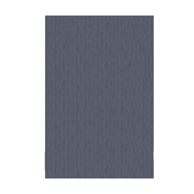 FOGLI FAB. L.R.GR.220 70X100 FF.10 FERRO