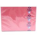 CARTA 110X155 25FF GR.210 ROSSA