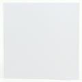 CARTA PIEG.160X160 25F GR.210 BIANCA