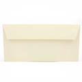 BUSTE 110X220 PZ.20 GR.120 AVORIO