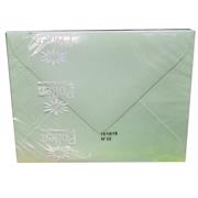 BUSTE 75X100 PZ.20 GR.120 VERDE