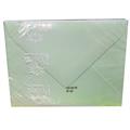 BUSTE 75X100 PZ.20 GR.120 VERDE