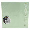 BUSTE 165X165 PZ.20 GR.120 VERDE