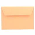 BUSTE 114X162 PZ.20 GR.120 ARANCIO