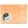 BUSTE 114X162 PZ.20 GR.120 ARANCIO