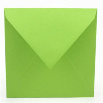 BUSTE 165X165 PZ.20 GR.120 VERDE INTENSO