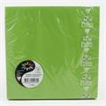 BUSTE 165X165 PZ.20 GR.120 VERDE INTENSO