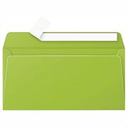 BUSTE 110X220 PZ.20 GR.120 VERDE INTENSO