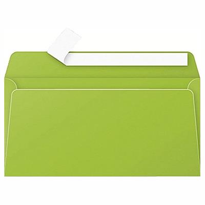 BUSTE 110X220 PZ.20 GR.120 VERDE INTENSO