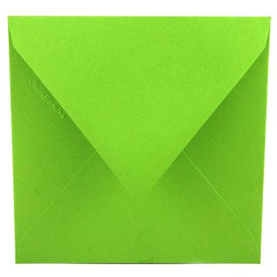 BUSTE 140X140 PZ.20 GR.120 VERDE INTENSO