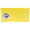 BUSTE 110X220 PZ.20 GR.120 GIALLO INTENSO