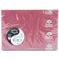 BUSTE 114X162 PZ.20 GR.120 BORDEAUX
