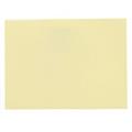 CARTA 70X95 25FF GR.210 CAMOSCIO