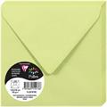 BUSTE 140X140 PZ.20 GR.120 VERDE BOUGEON