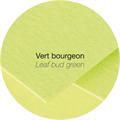 BUSTE 140X140 PZ.20 GR.120 VERDE BOUGEON