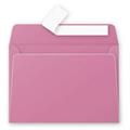 BUSTE 114X162 PZ.20 GR.120 ROSA ORTENSIA