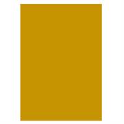 CARTONCINI 70X100 GR.250 10FF ORO A322011